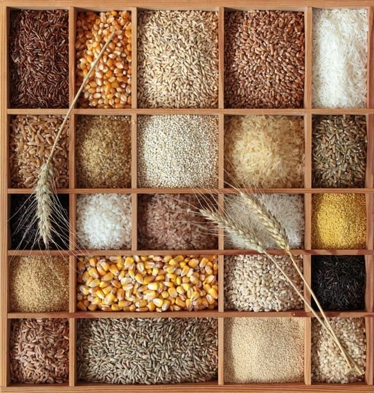 Grains