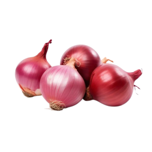 Onion