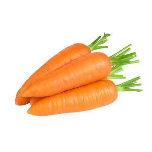 Carrot
