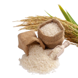 Rice